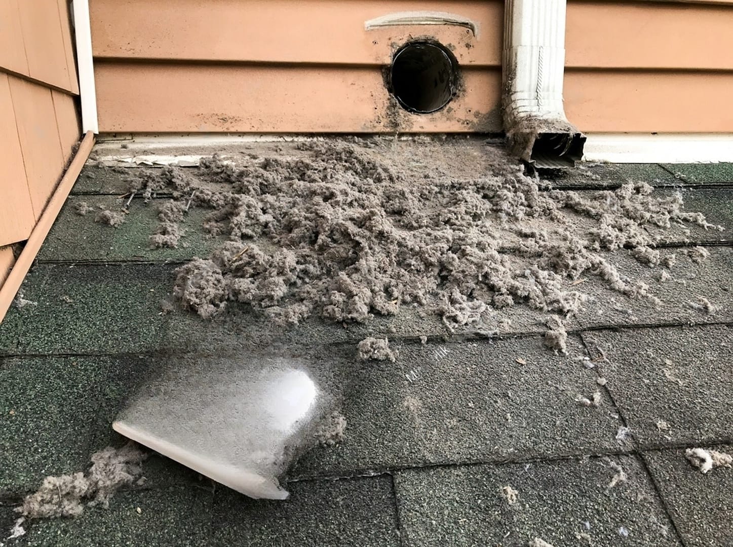 stock-photo-lint-collected-from-dryer-machine-after-cleaning-vent-2248181301